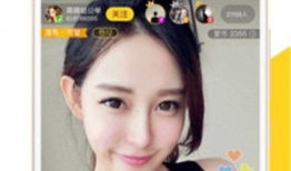 91在线直播看,揭秘热门直播平台的魅力与挑战